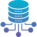 Database Management System